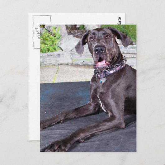 Carte Postale Daphné (Devant / Derrière)