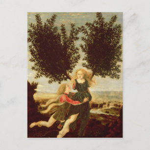Carte Postale Daphne et Apollo, c.1470-80