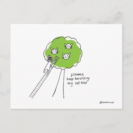 carte postale d'arbre à chat (Devant)