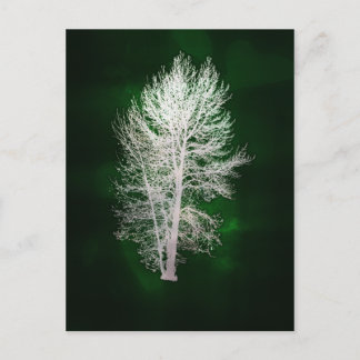 Carte postale d'arbre faux-métallique vert