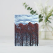 Carte postale d'arbres de Sourwood (Debout devant)