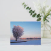Carte postale d'arbres enneigés (Debout devant)