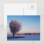 Carte postale d'arbres enneigés (Devant / Derrière)