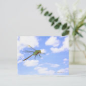 Carte Postale Dard vert (Anax junius) volant contre (Debout devant)