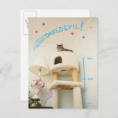 Carte Postale Daredevil Cat (Devant / Derrière)