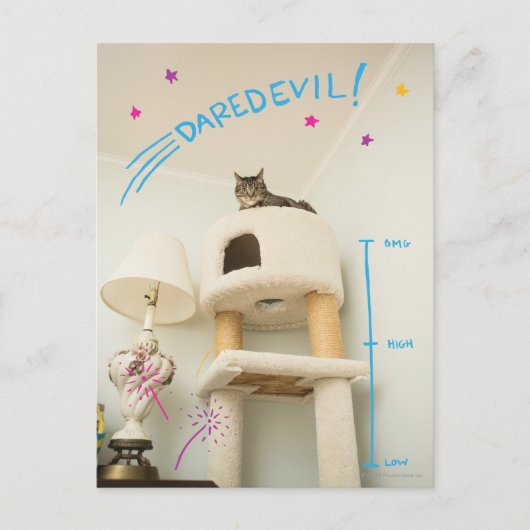 Carte Postale Daredevil Cat (Devant)