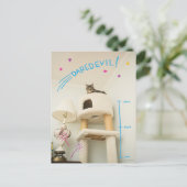 Carte Postale Daredevil Cat (Debout devant)