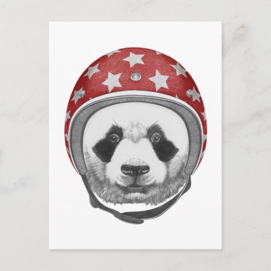 Carte Postale Daredevil Panda (Devant)