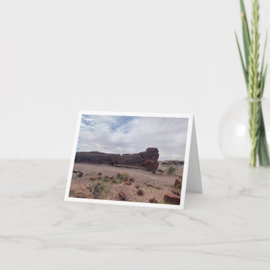 Carte postale d'Arizona 6 (Devant)