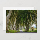 Carte Postale Dark Hedges en Irlande (Devant / Derrière)
