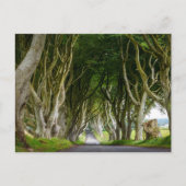 Carte Postale Dark Hedges en Irlande (Devant)