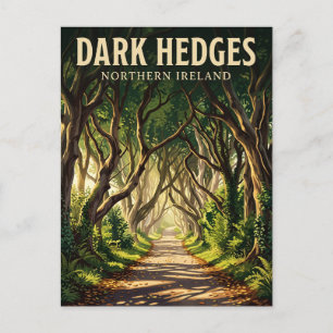 Carte Postale Dark Hedges Irlande du Nord