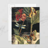 Carte Postale Dark Nature Scene par Vision Studio (Devant / Derrière)