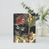 Carte Postale Dark Nature Scene par Vision Studio (Debout devant)