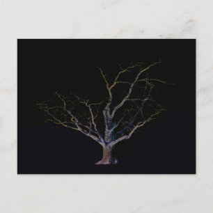 Carte Postale Dark Side 2 pccnm