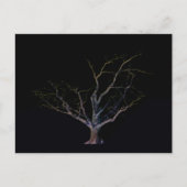 Carte Postale Dark Side 2 pccnm (Devant)