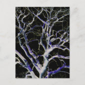 Carte Postale Dark Side 5 pccnm (Devant)