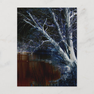 Carte Postale Dark Side 7 pccnm