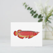carte postale d'arowana (Debout devant)