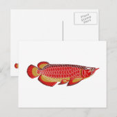 carte postale d'arowana (Devant / Derrière)