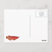 carte postale d'arowana (Dos)