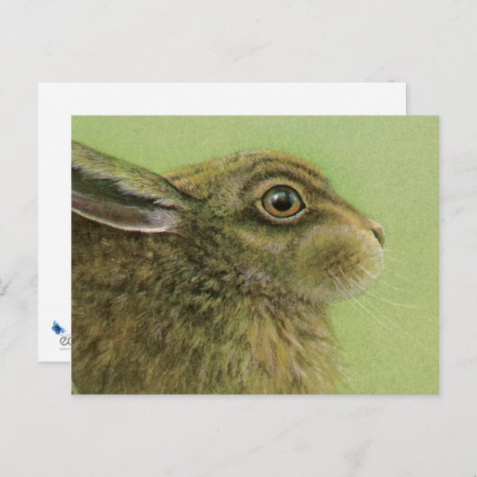Carte postale d'art animal lapin (Devant / Derrière)