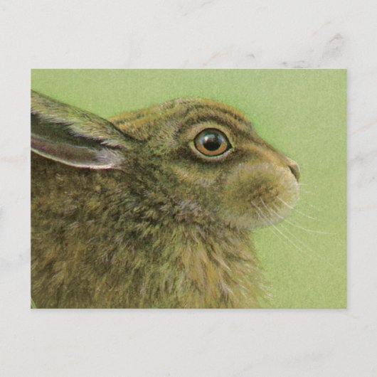 Carte postale d'art animal lapin (Devant)