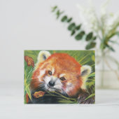 Carte postale d'art animal Red Panda (Debout devant)