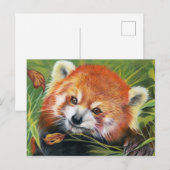 Carte postale d'art animal Red Panda (Devant / Derrière)