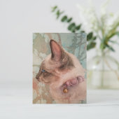 Carte postale d'art aquarelle Chat siamois Collier (Debout devant)
