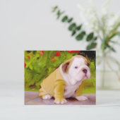 Carte postale d'art chiot Bulldog (Debout devant)