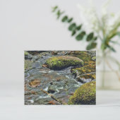 Carte Postale Dart de la rivière Dartmeet Dartmoor (Debout devant)