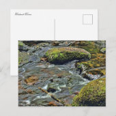 Carte Postale Dart de la rivière Dartmeet Dartmoor (Devant / Derrière)