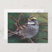 Carte postale d'art d'oiseaux de Bruant blanc (Devant / Derrière)