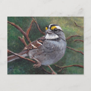 Carte postale d'art d'oiseaux de Bruant blanc