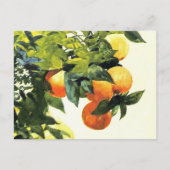 Carte postale d'art fin de Winslow Homer - Oranges (Devant)