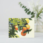 Carte postale d'art fin de Winslow Homer - Oranges (Debout devant)