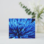 Carte postale d'art floral Chrysanthemum bleu (Debout devant)