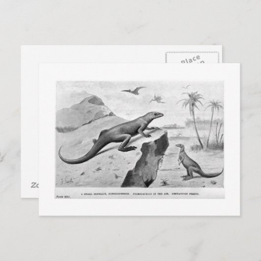 Carte postale d'art Hypsilophodon (Devant / Derrière)