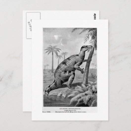 Carte postale d'art Iguanodon bernissartensis (Devant / Derrière)