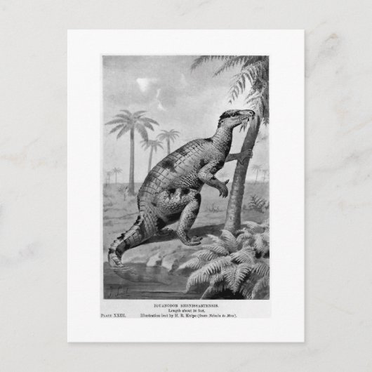 Carte postale d'art Iguanodon bernissartensis (Devant)