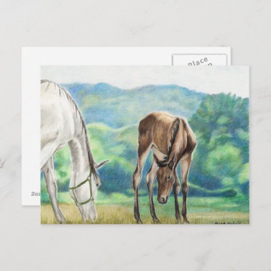 Carte postale d'art original Mare & Foal (Devant / Derrière)