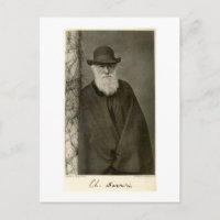 Darwin debout à côté d'un pilier, publié en 1908