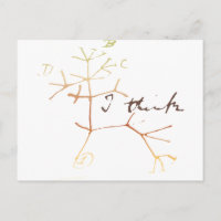 Darwin, je pense à l'arbre de vie