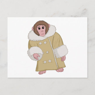 Carte Postale Darwin qu'Ikea Monkey