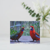 Carte Postale Date (Debout devant)