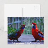 Carte Postale Date (Devant / Derrière)