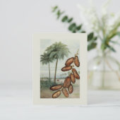 Carte Postale Dates (Debout devant)