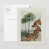 Carte Postale Dates (Devant / Derrière)