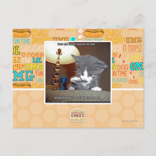 Carte Postale Dats une petite étape me fourrure (Devant)